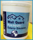 wall guard exterior emulsion