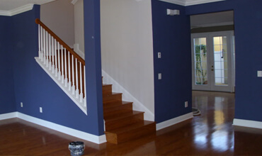 gold leaf interior exterior primer